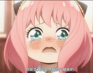 图片12.png